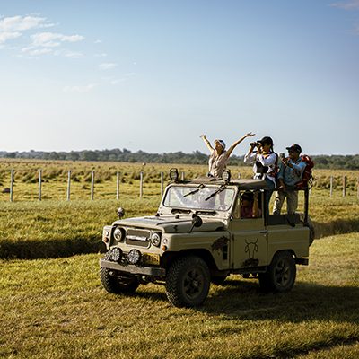 400x400px_safari llanero
